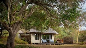 andBeyond Phinda Zuka Your Perfect Africa Kwa-Zulu Natal specials