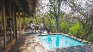 Camp Jabulani Specials Your Perfect Africa Discounted Rates