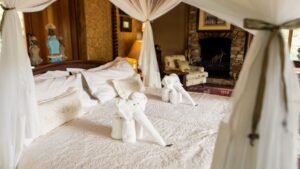 Camp Jabulani Specials Your Perfect Africa Discounted Rates