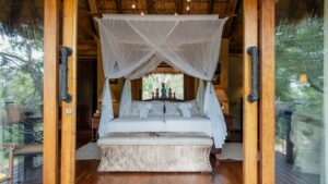 Camp Jabulani Specials Your Perfect Africa Discounted Rates