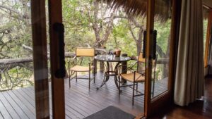 Camp Jabulani Specials Your Perfect Africa Discounted Rates