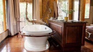 Camp Jabulani Specials Your Perfect Africa Discounted Rates