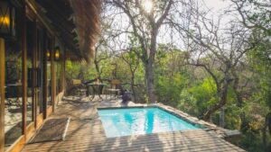 Camp Jabulani Specials Your Perfect Africa Discounted Rates