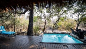Camp Jabulani Specials Your Perfect Africa Discounted Rates