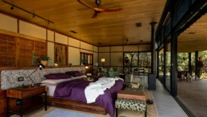 Tanda Tula Safari Plains Your Perfect Africa Kruger Specials