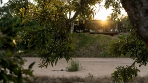 Tanda Tula Safari Plains Your Perfect Africa Kruger Specials