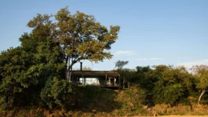 Tanda Tula Safari Plains Your Perfect Africa Kruger Specials