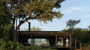 Tanda Tula Safari Plains Your Perfect Africa Kruger Specials