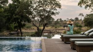Tanda Tula Safari Plains Your Perfect Africa Kruger Specials