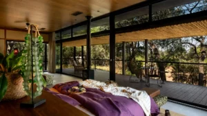 Tanda Tula Safari Plains Your Perfect Africa Kruger Specials