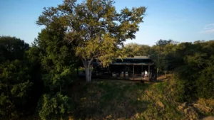 Tanda Tula Safari Plains Your Perfect Africa Kruger Specials