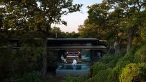 Tanda Tula Safari Plains Your Perfect Africa Kruger Specials