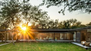 Tanda Tula Safari Plains Your Perfect Africa Kruger Specials
