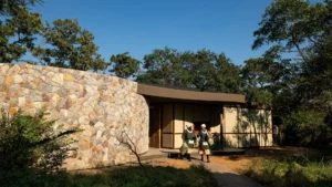 Tanda Tula Safari Plains Your Perfect Africa Kruger Specials