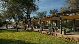 Tanda Tula Safari Plains Your Perfect Africa Kruger Specials
