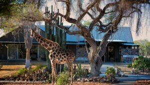 Namibia SA Resident Special Rates