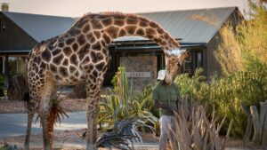 Namibia SA Resident Special Rates