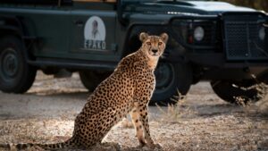 Namibia SA Resident Special Rates
