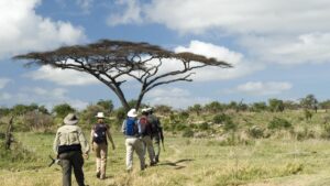 Monwana Game Lodge Big 5 Safaris