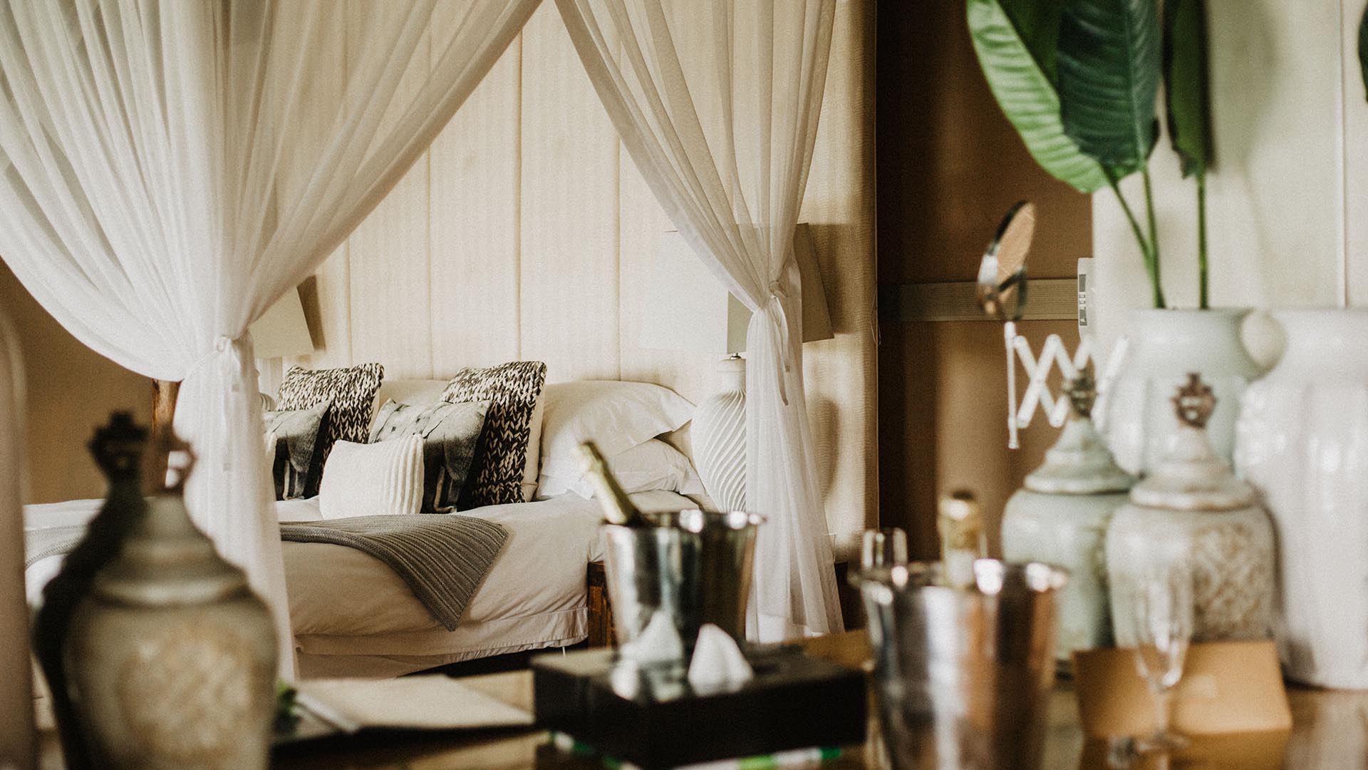 Amakhala Bush Lodge