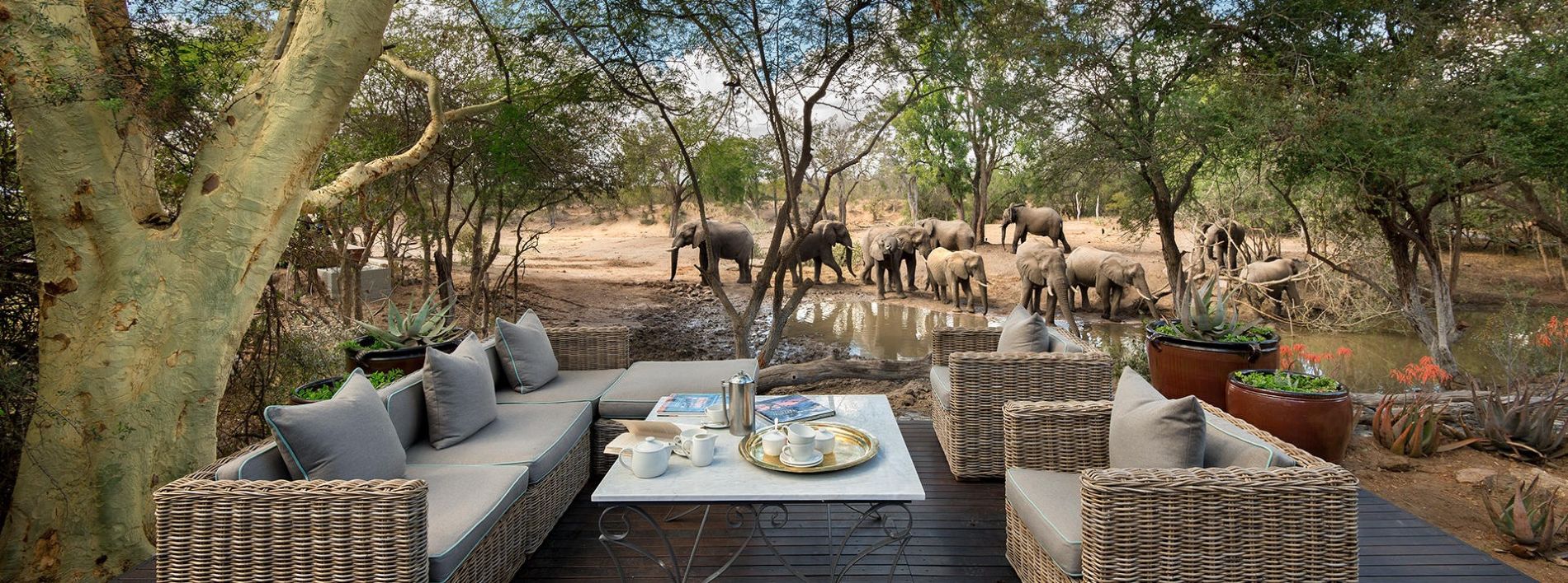 andbeyond-ngala-safari-lodge-greater-kruger-luxury-safari-south-africa-travel-packages