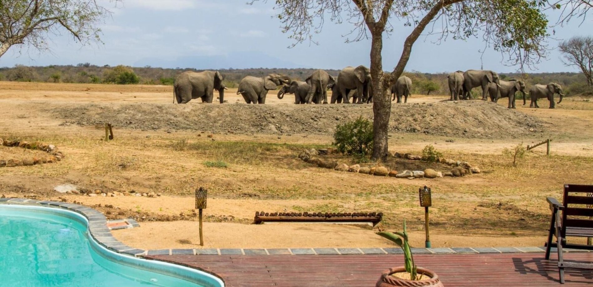 tangala-safari-camp-thornybush-bush-breaks-deals-offers
