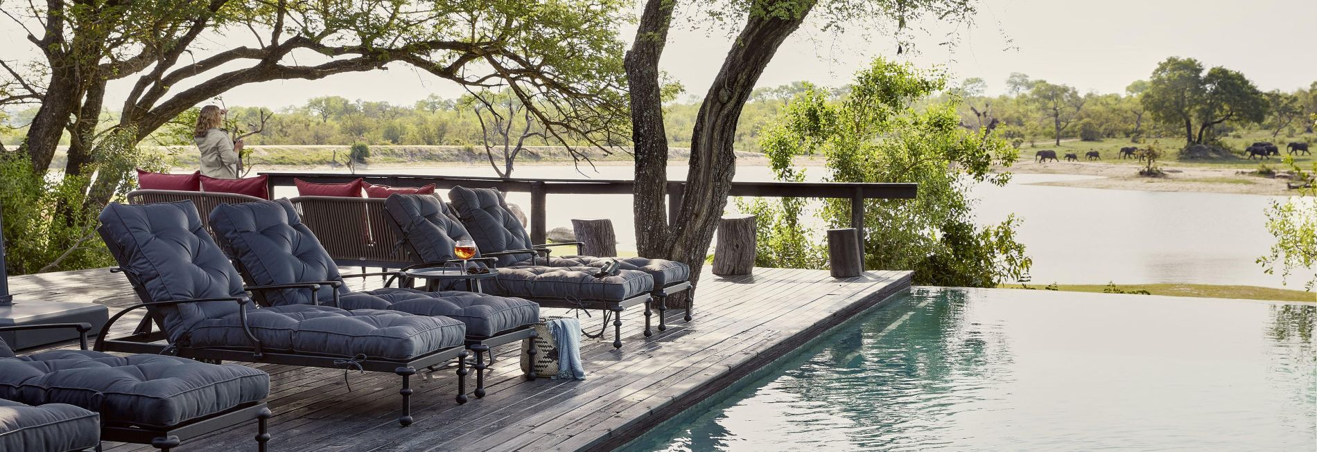 CHITWA-CHITWA-Lion-Sabi-Sands-Game-Reserve-South-African-Safari-Packages