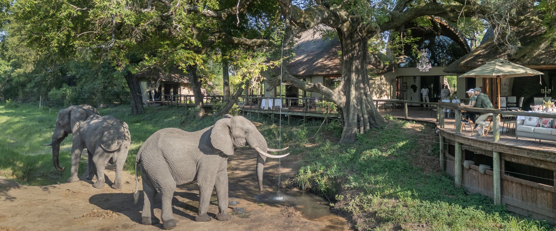 Tintswalo-Safari-Lodge-Manyeleti-Kruger-Special-Offers-Package-Deals