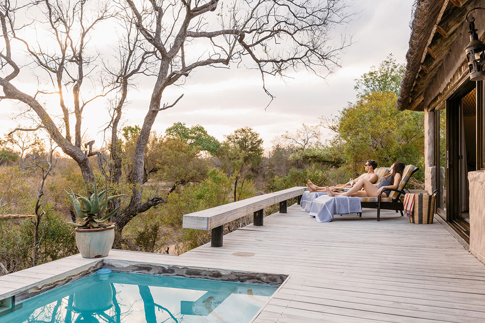simbambili-game-lodge-sabi-sand-game-reserve-best-rates-special-deals