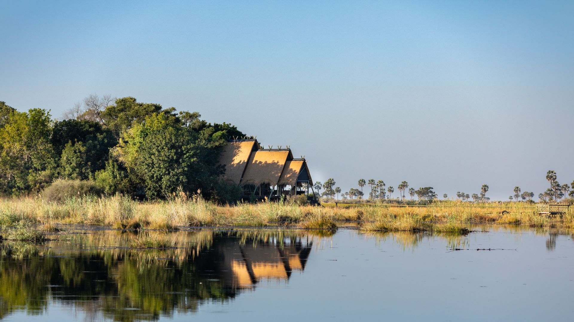 Selinda Camp and Suite Bush Break Specials