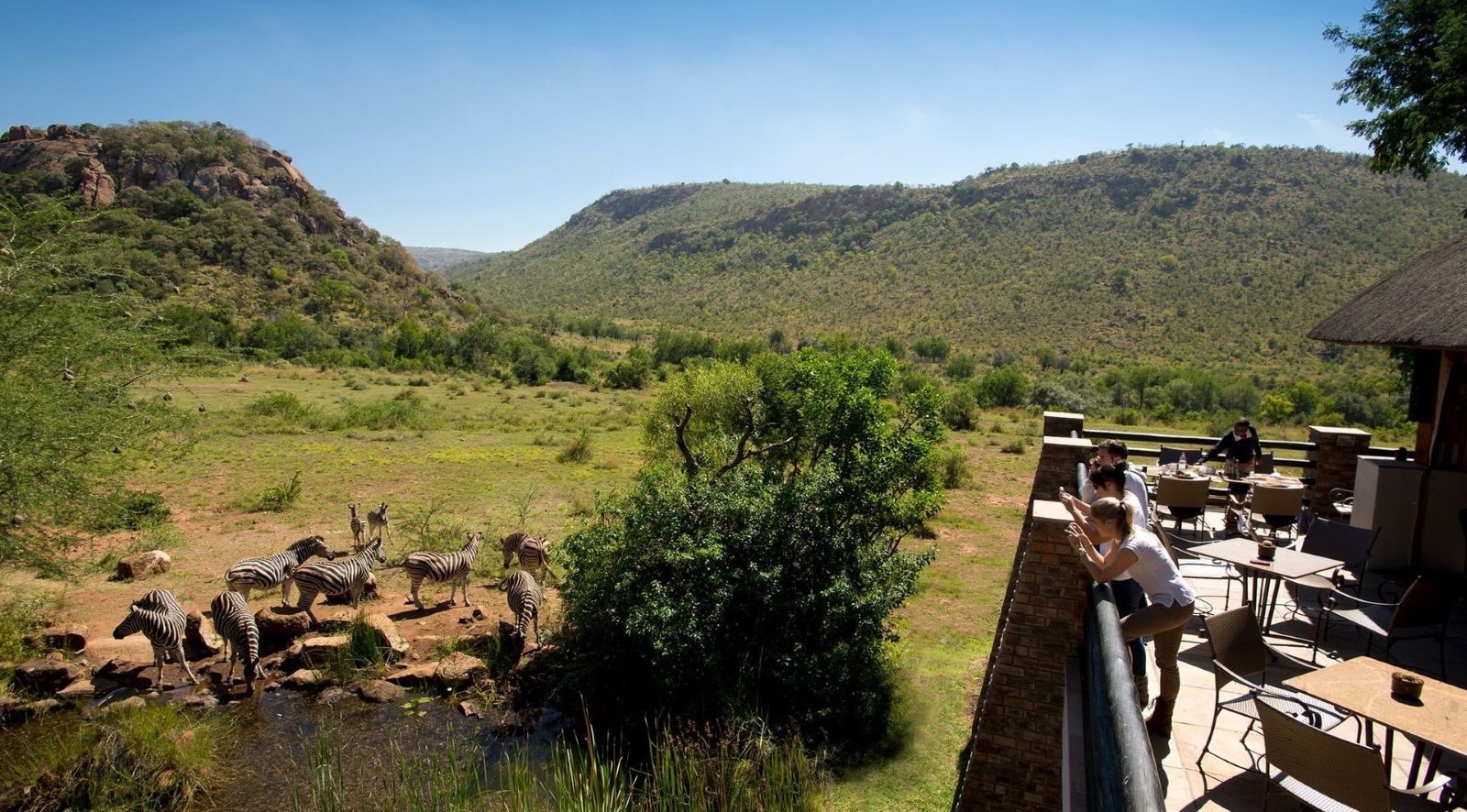 kwa-maritane bush-lodge-pilanesberg-best-rates-special-deals-bush-escapes