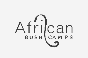African-Bush-Camp