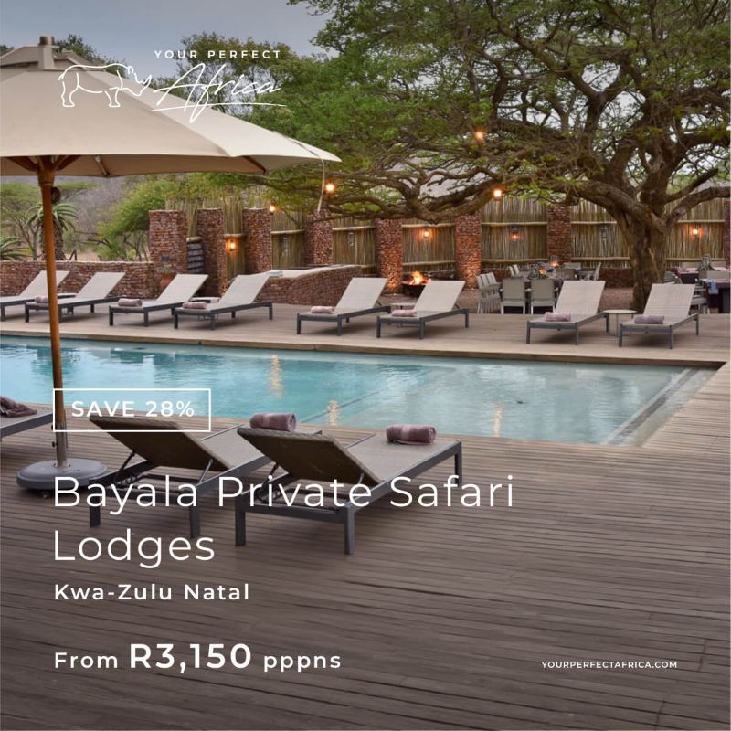 Bayala Special Offers Bush Breaks Deals 2026