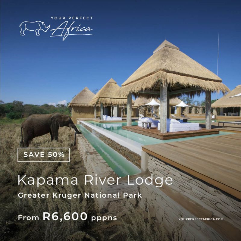 Kapama River Lodge-special-offer-bush-breaks-deals-2026