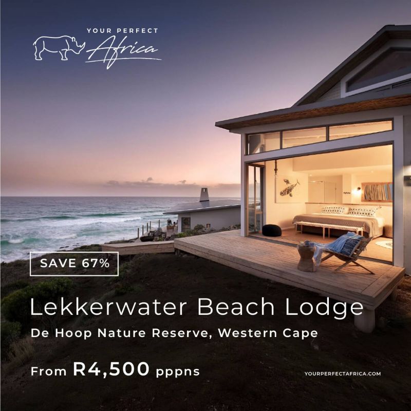 Lekkerwater Beach Lodge Special Offers Bush Breaks Deals 2026