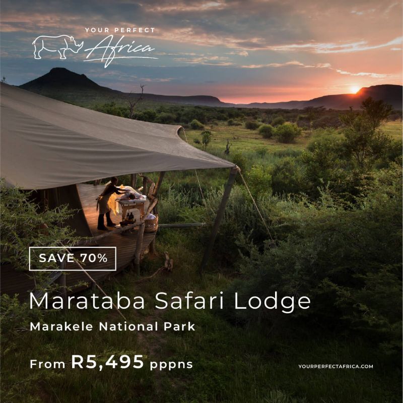 Marataba Safari Lodge Special Offers Bush Breaks Deals 2026
