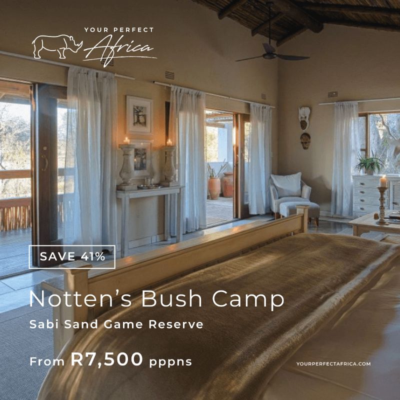 Nottens Bush Camp Sabi Sands Special Offers Bush Breaks Deals 2026