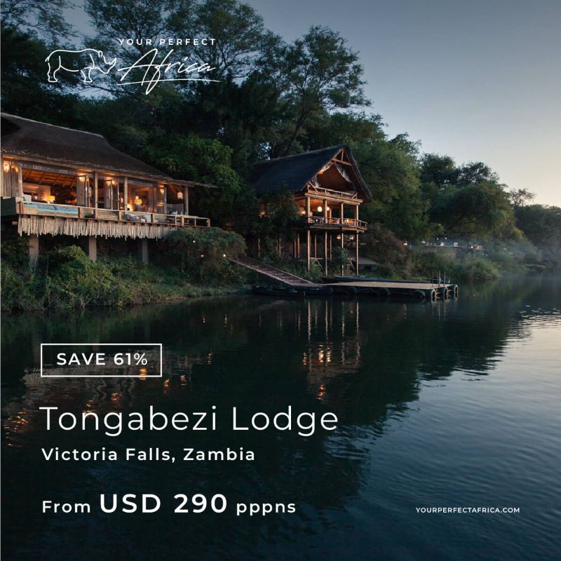 Tongabezi Victoria Falls Special Offers Bush Breaks Deals 2026