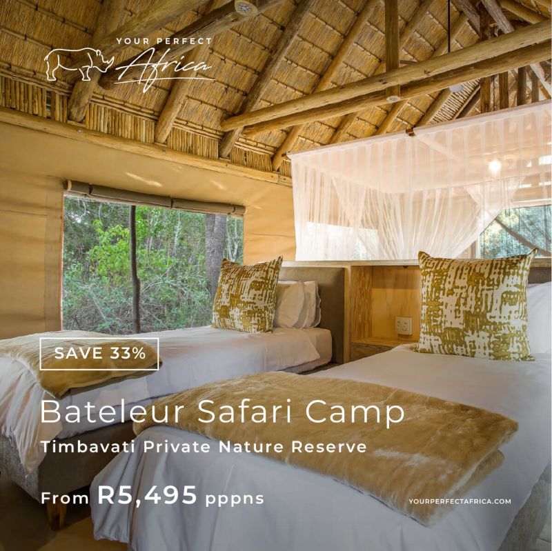 Bateleur Special Offers Bush Breaks Deals 2026