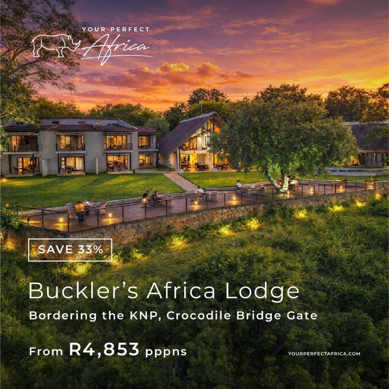 Bucklers Africa Lodge special-offer-bush-breaks-deals-2026