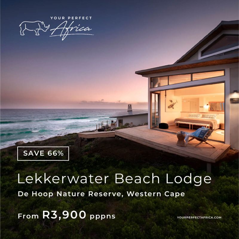 Lekkerwater Beach lodge Western Cape special-offer-bush-breaks-deals-2026