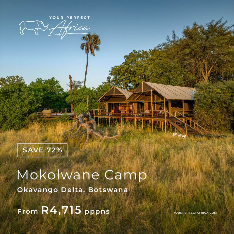 Mokolwane Okavango Botswana special-offer-bush-breaks-deals-2026