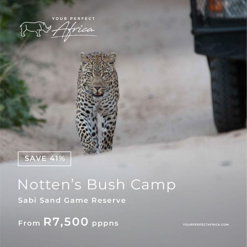 Nottens Sabi Sand last minte special-offer-bush-escapes-deals-2026