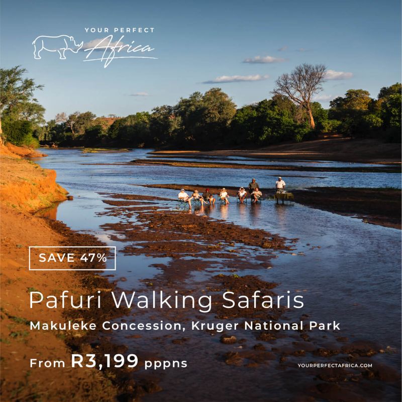 Pafuri Walking Safaris special-offer-bush-breaks-deals-2026