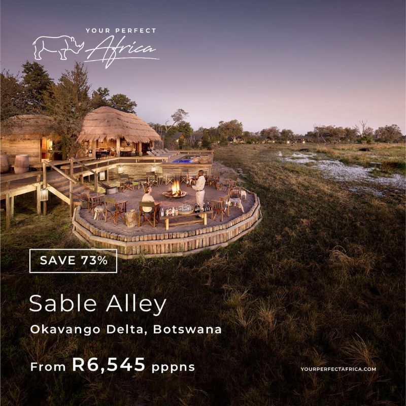 Sable Alley Okavango special-offer-bush-breaks-deals-2026