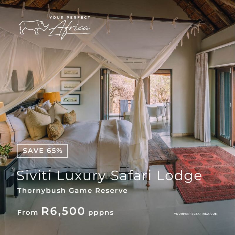 Siviti Thornybush Special Offers Bush Breaks Deals 2026