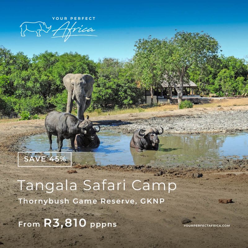 Tangala-Safari Lodge-Thornybush-special-offer-bush-breaks-deals-2026