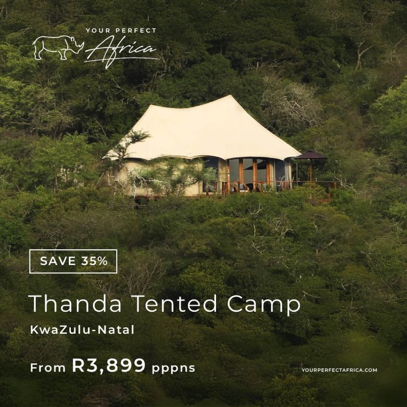 Thanda Tented Camp-special-offer-bush-breaks-deals-2026