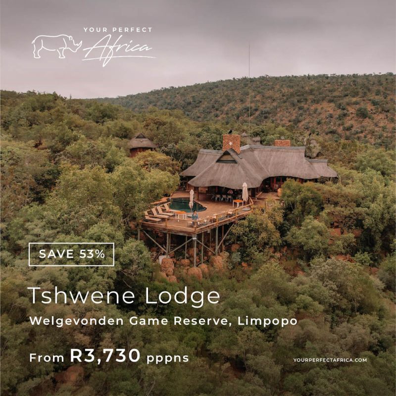 Tshwene Lodge Welgevonden special-offer-bush-breaks-deals-2026